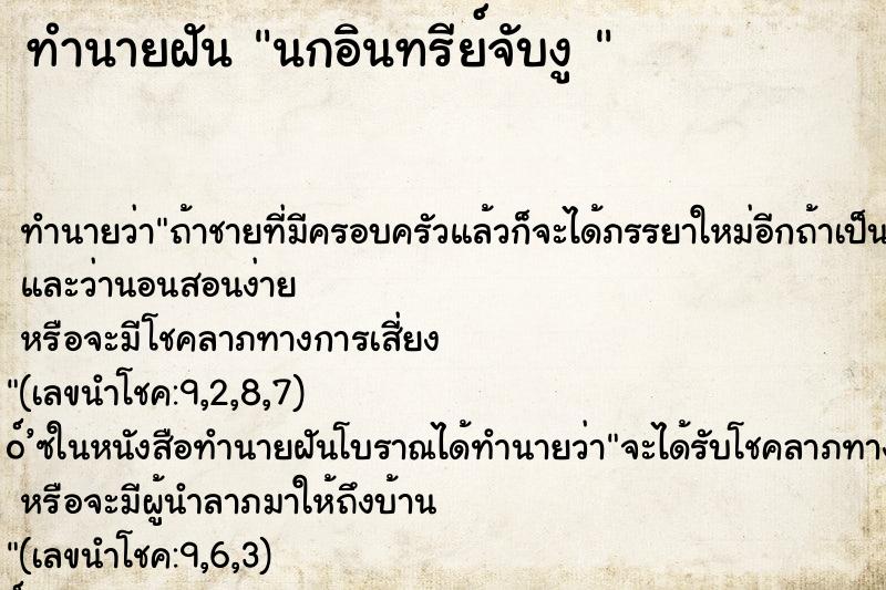 ทำนายฝันทำนายฝันนกอินทรีย์จับงู